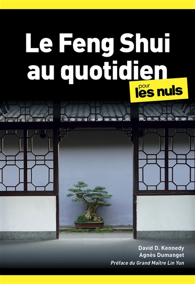 LE FENG SHUI AU QUOTIDIEN POCHE POUR LES NULS, 2EME EDITION