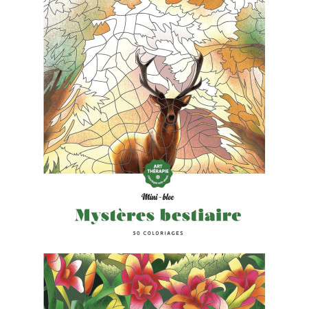 MINI BLOCS-THERAPIE MYSTERE BESTIAIRE 