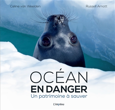 Océan en danger