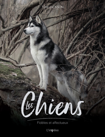 Les chiens : fidèles et affectueux
