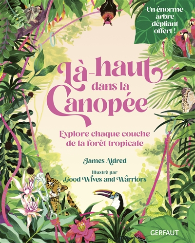 Là-haut dans la canopée : explore chaque couche de la forêt tropicale 912997