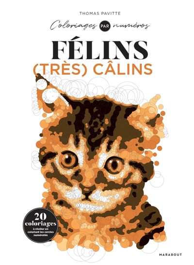 Colo by number : félins très calins