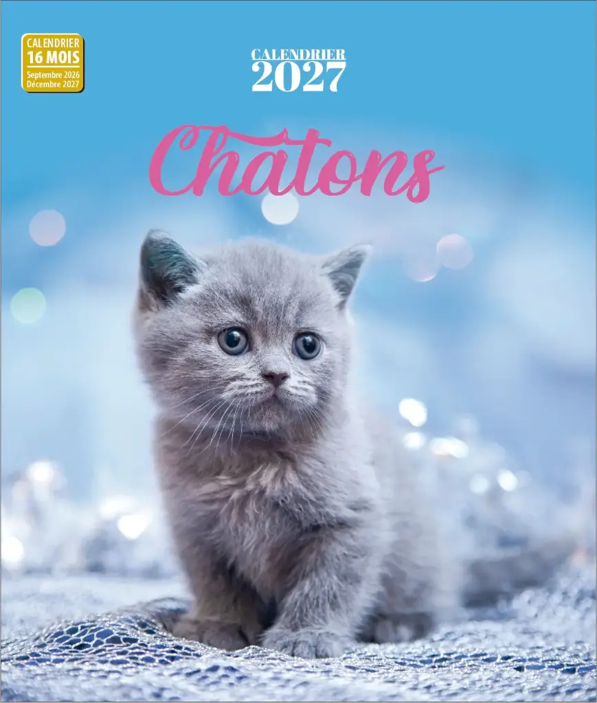 Calendrier 2027 - Chatons