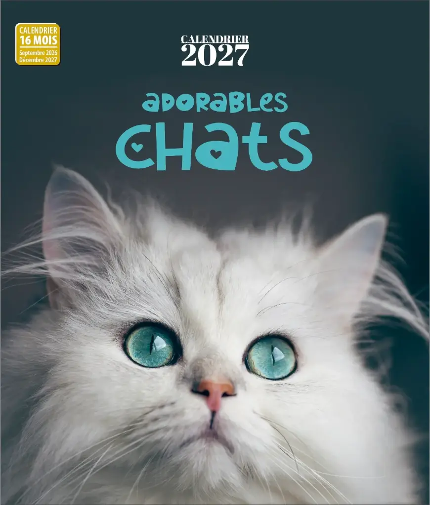 Calendrier 2027 - Chats