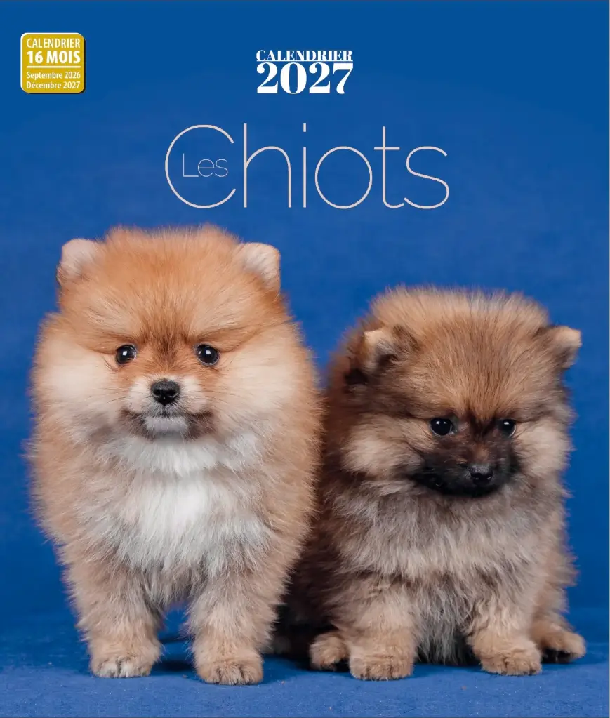 Calendrier 2027 - Chiots