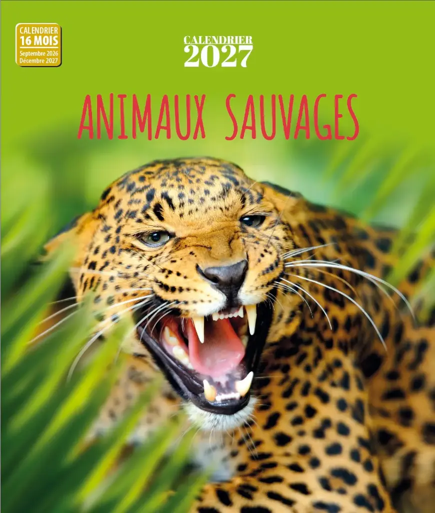 Calendrier 2027 - Animaux sauvages