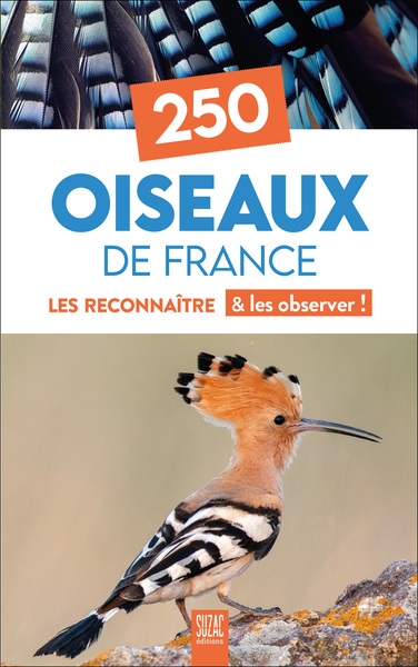 250 oiseaux de France : les reconnaître & les observer ! 