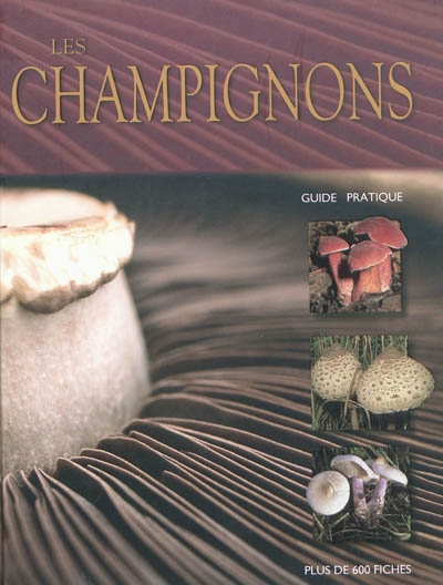 Les Champignons