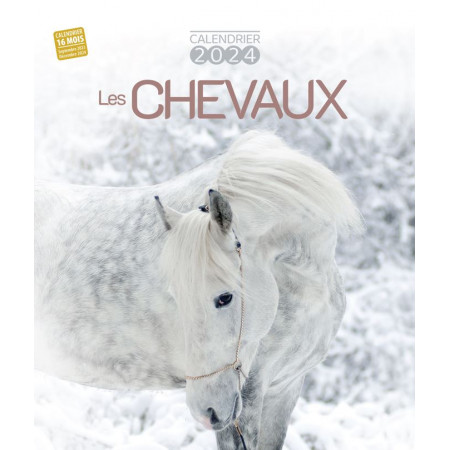 CALENDRIER SPIRALE 2024 - Chevaux