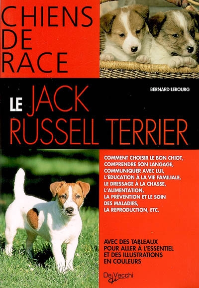 LE JACK RUSSEL TERRIER