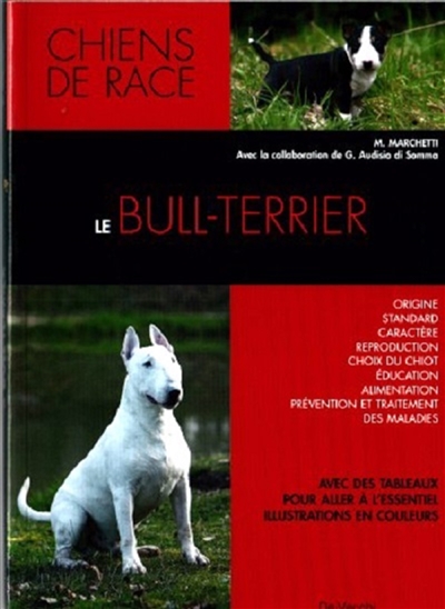 LE BULL TERRIER