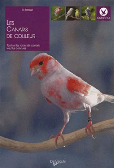 LES CANARIS DE COULEUR
