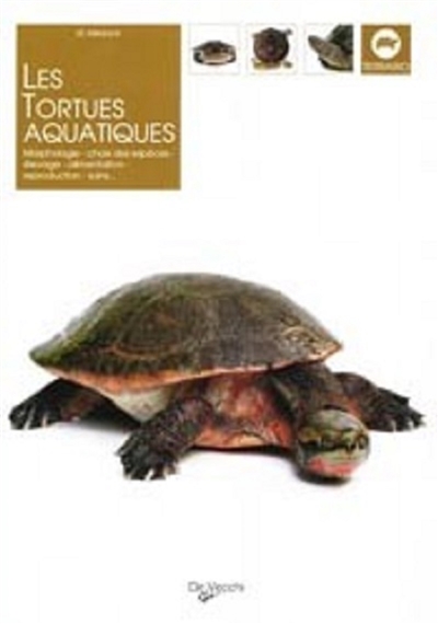 LES TORTUES AQUATIQUES