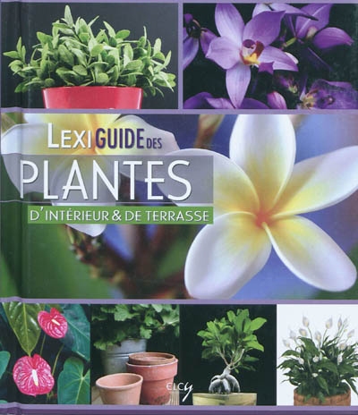 Lexiguide des plantes d'intérieur et de terrasse