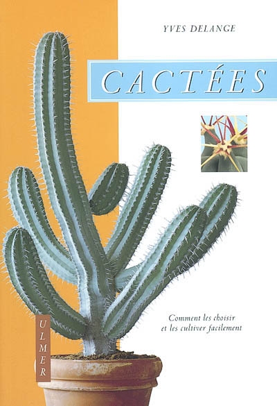 Cactées : Comment les choisir et les cultiver facilement