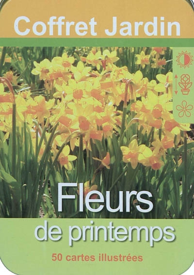 Fleurs de printemps - 50 cartes illustrées
