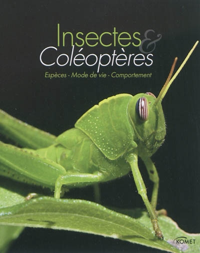 Insectes et coléoptères - Espèces, mode de vie, comportement 