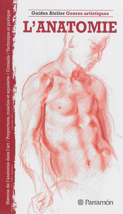 L'anatomie
