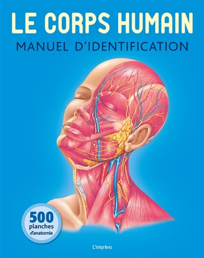Le corps humain - Manuel d'identification