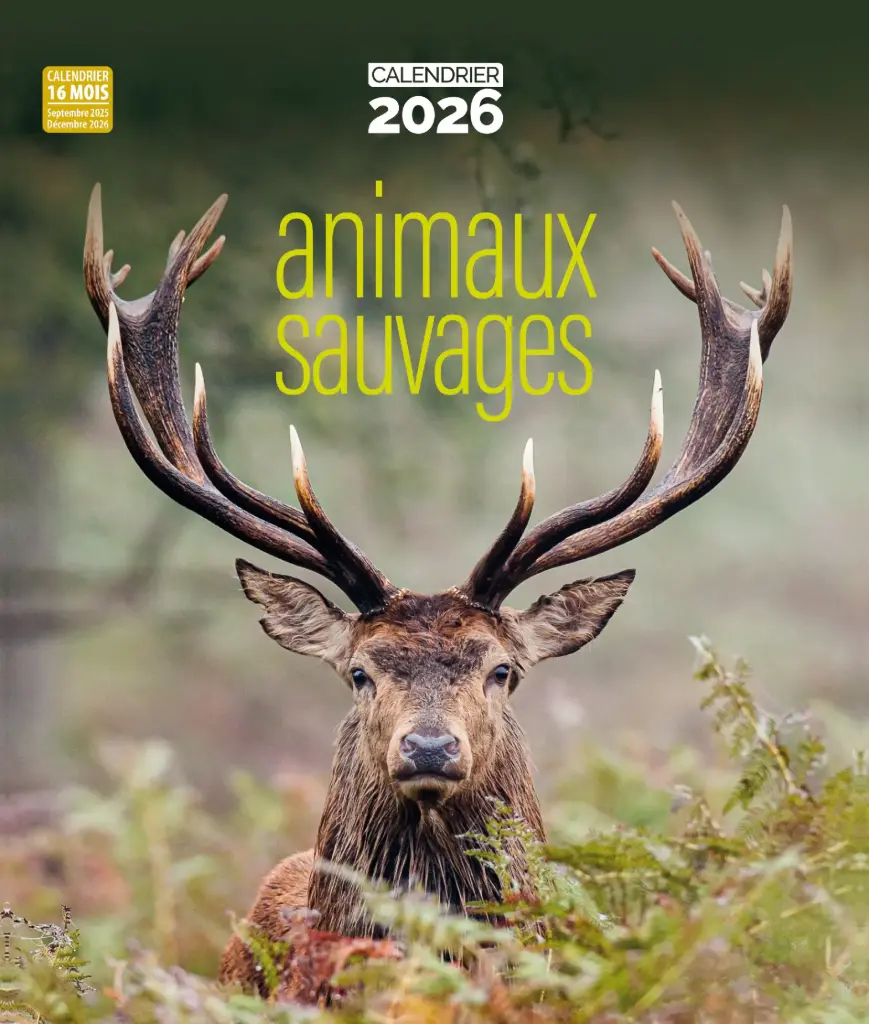 Calendrier 2026 - Animaux sauvages