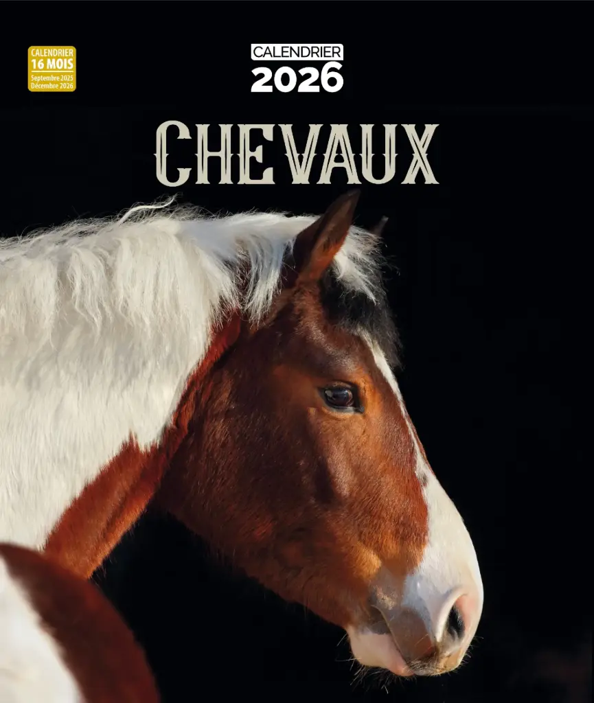 Calendrier 2026 - Chevaux