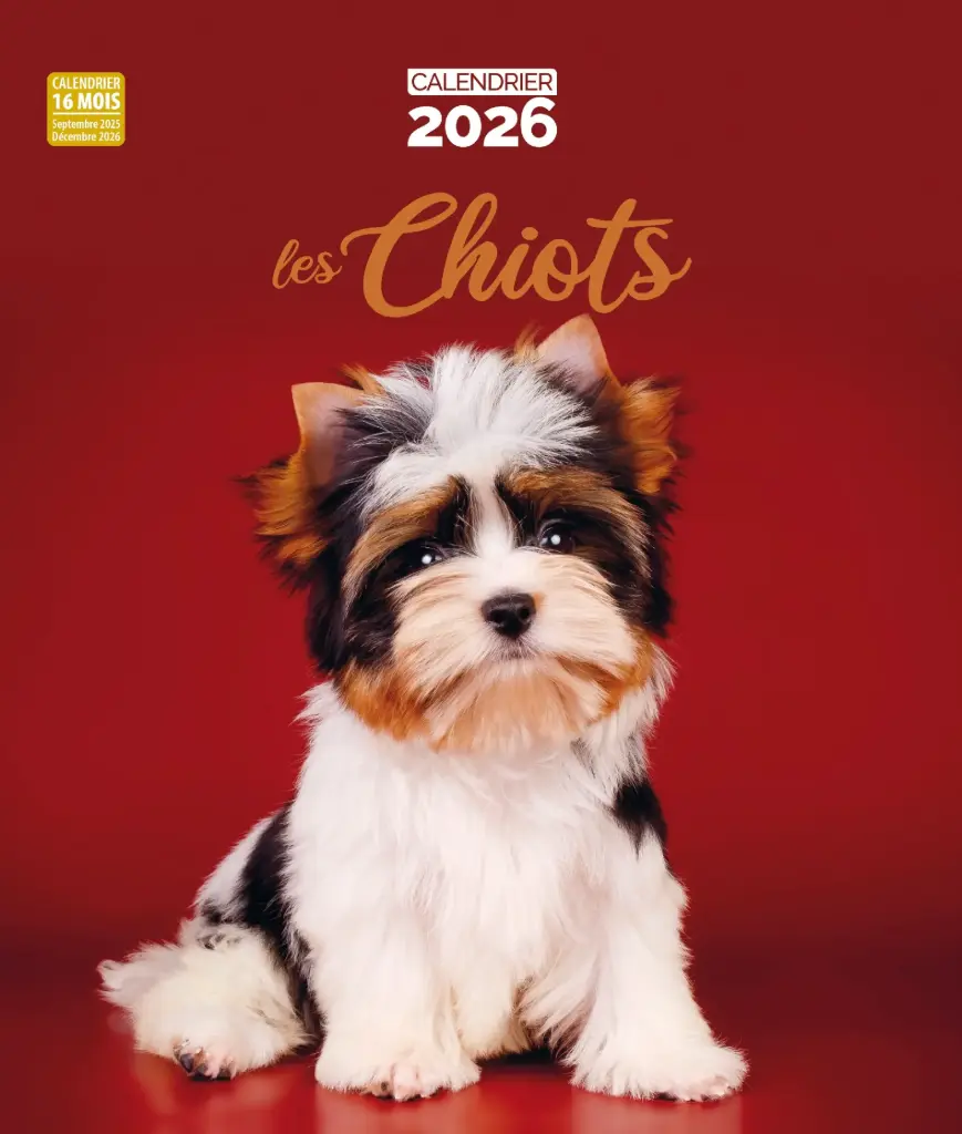 Calendrier 2026 - Les Chiots