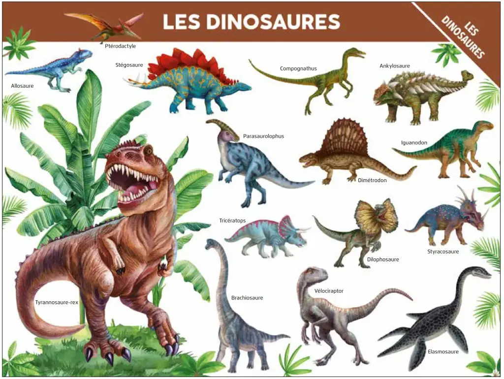 Poster - Les Dinosaures (recto-verso)