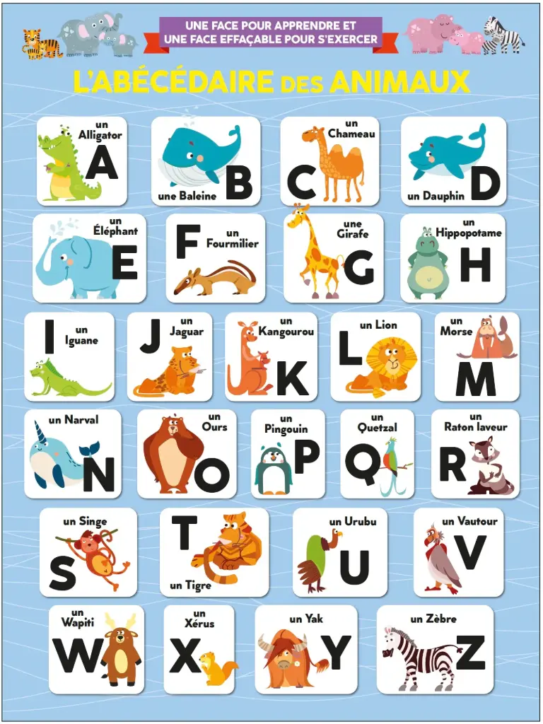 Poster effaçable - L'abécédaire des animaux (recto-verso)