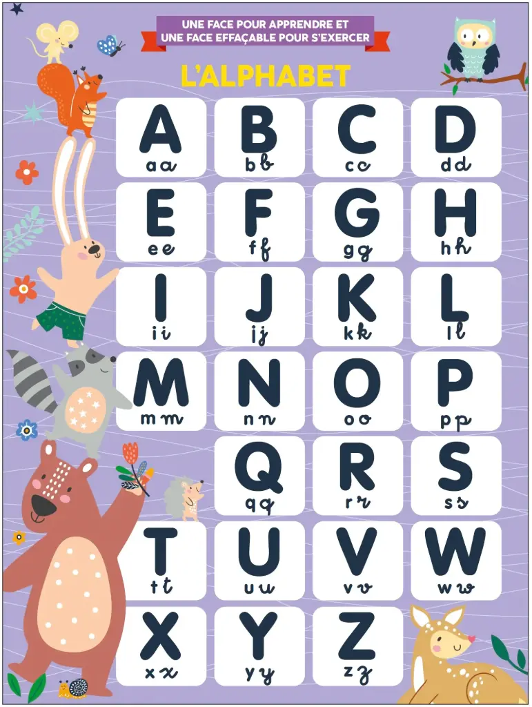 Poster effaçable - L'alphabet (recto-verso)