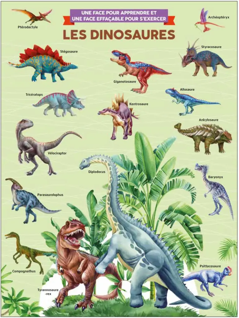 Poster effaçable - Les Dinosaures (recto-verso)