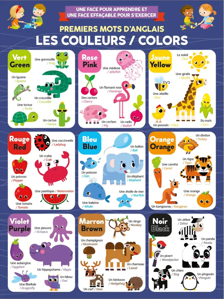 Poster effaçable - 1er mors d'Anglais, les couleurs (recto-verso)