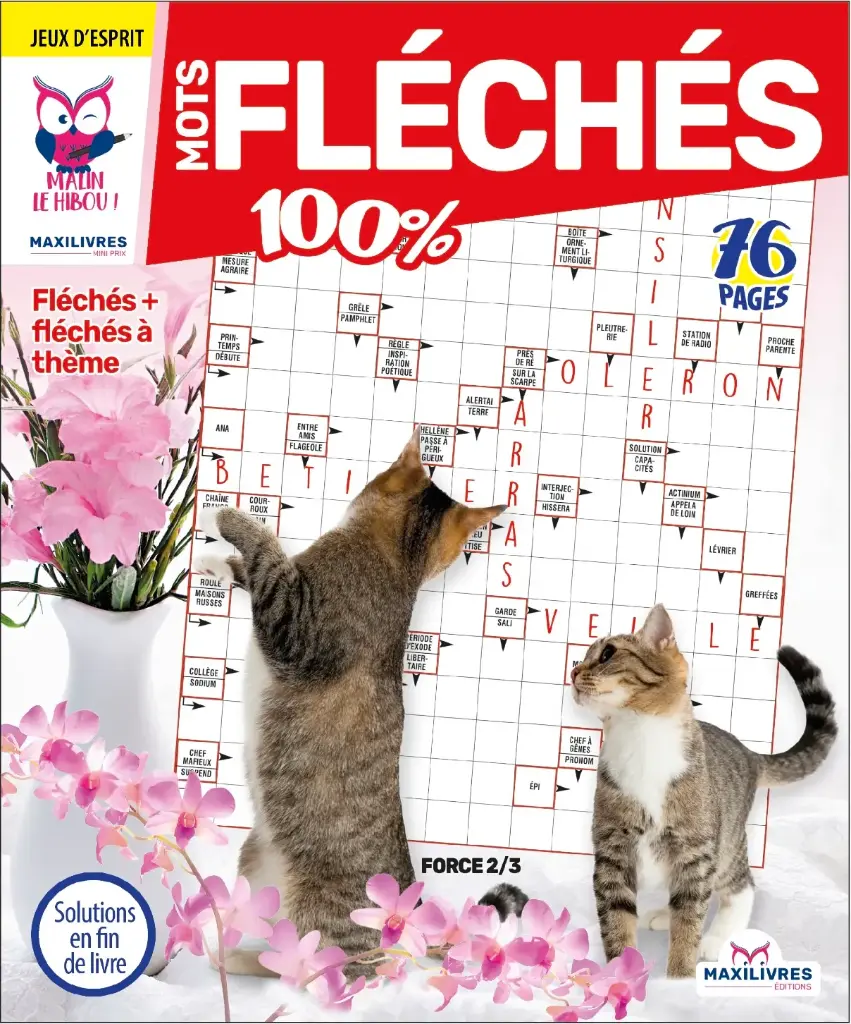 MOTS FLÉCHÉS 4- Hibou malin 