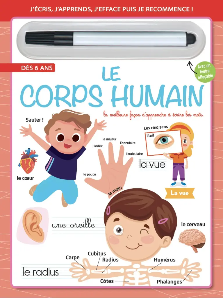 Livre effaçable - Le corps humain + 1 feutre