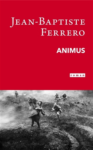 Animus   