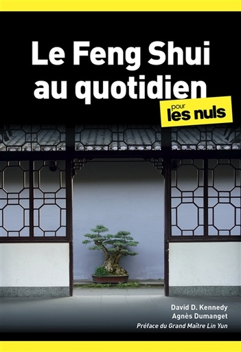 LE FENG SHUI AU QUOTIDIEN POCHE POUR LES NULS, 2EME EDITION
