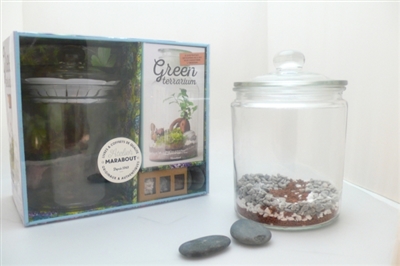 Coffret à terrarium