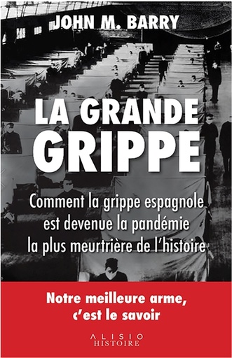 La Grande Grippe : Comment la grippe espagnole est devenue la pandémie la plus meurtrière de l'histoire 