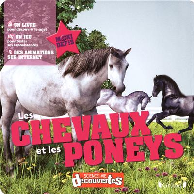 Les chevaux et les poneys
