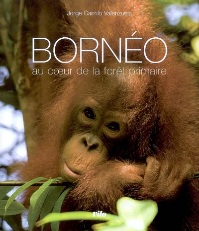 Bornéo : Au coeur de la forêt primaire (1CD audio)