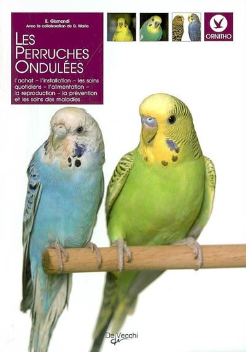 LES PERRUCHES ONDULÉES