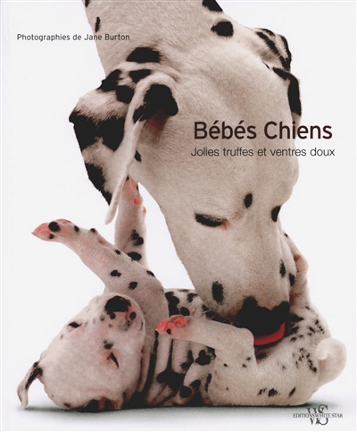 Bébés Chiens      Jolies truffes et ventres doux ""