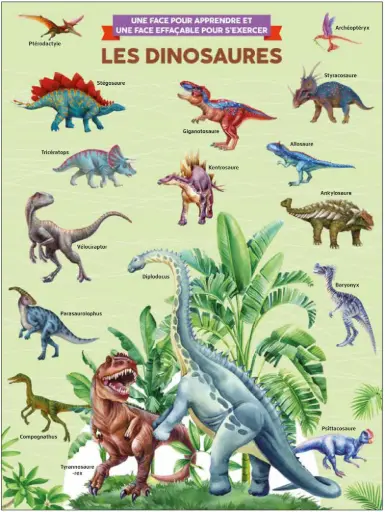 [MXL4525] Poster effaçable - Les Dinosaures (recto-verso)
