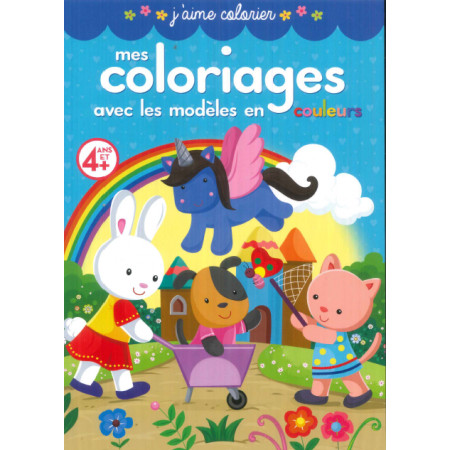 [ALD2102] 1ER COLOR AVEC MODELE color