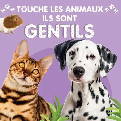 [SDP6322] Touche les Animaux - Gentils